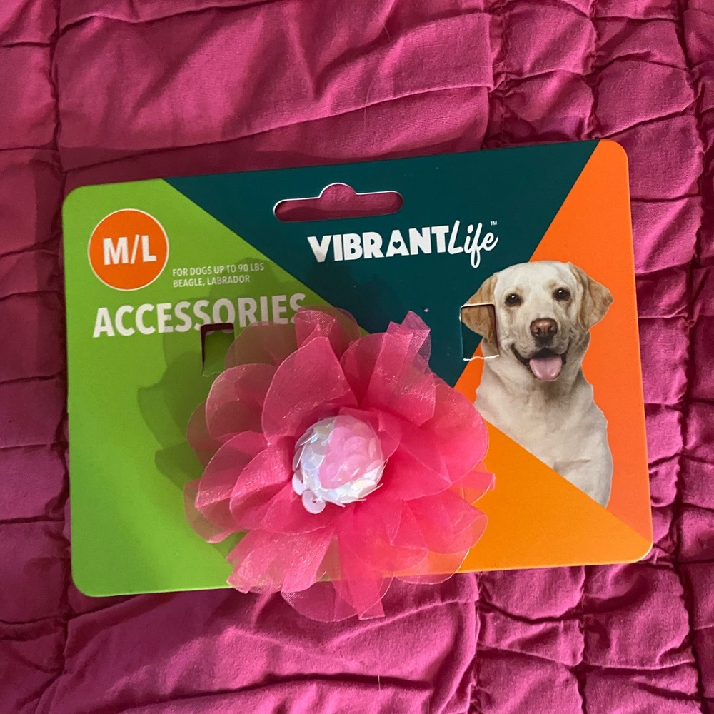 Pets dog bow pink